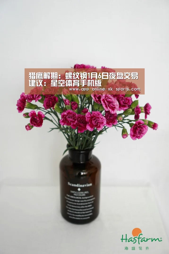 星空体育官网下载