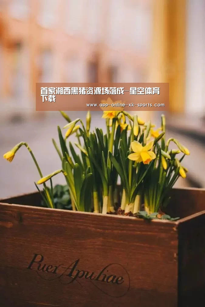 星空体育官网下载