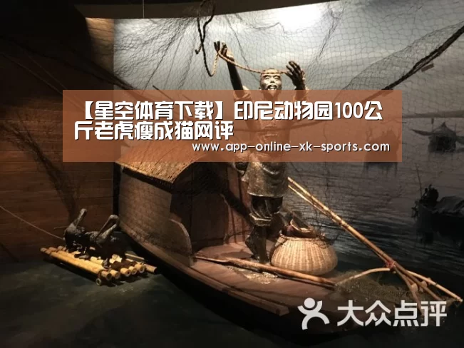 星空体育官网下载