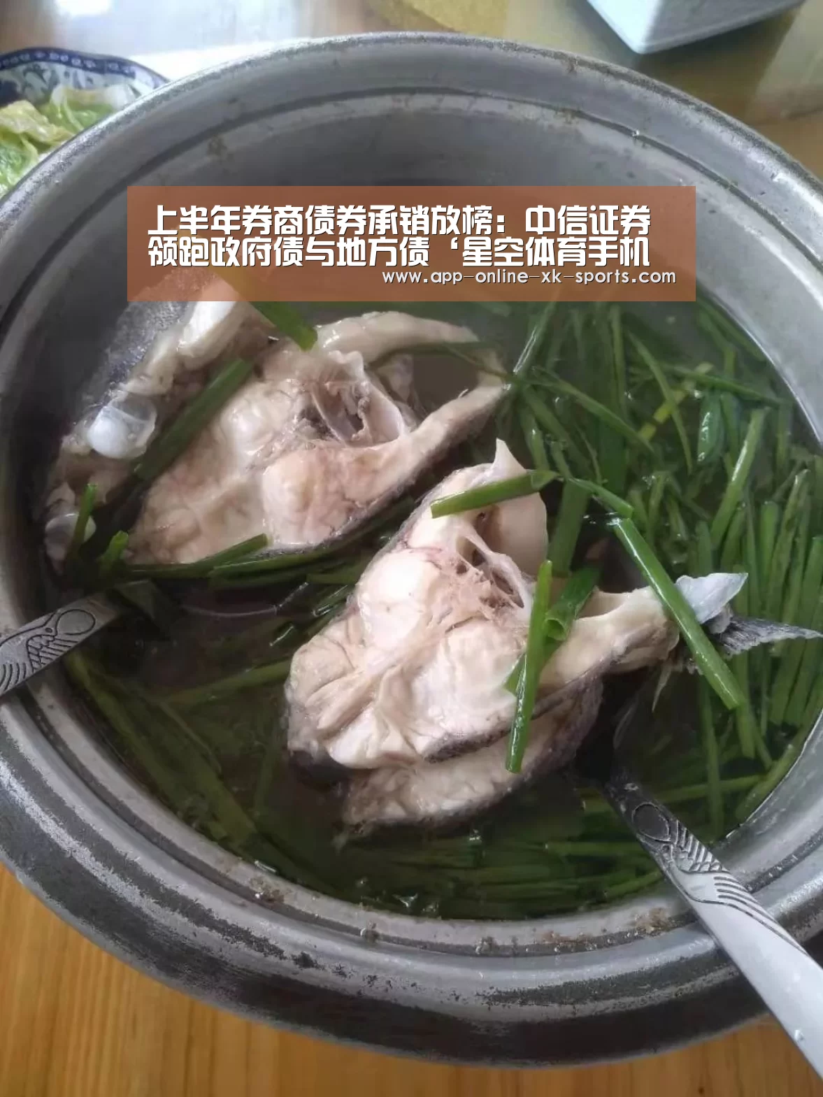 星空体育官网下载