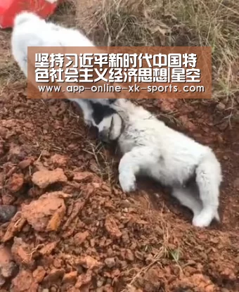星空体育官网下载