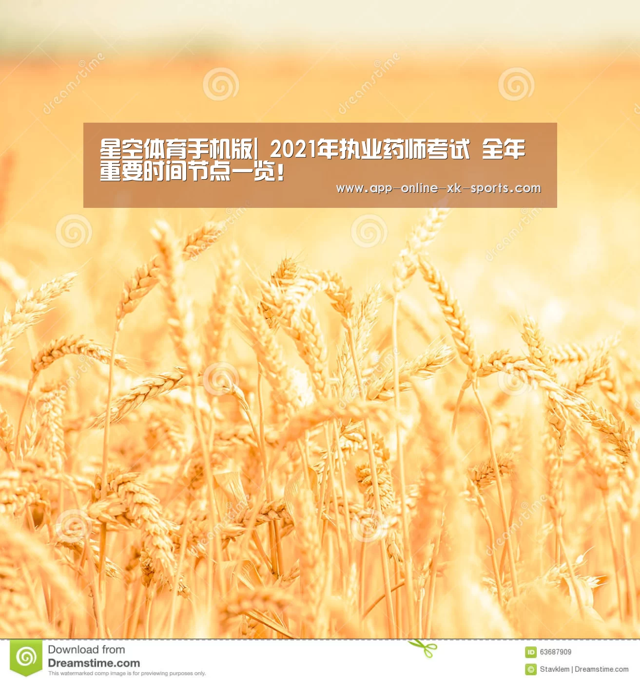 星空体育下载