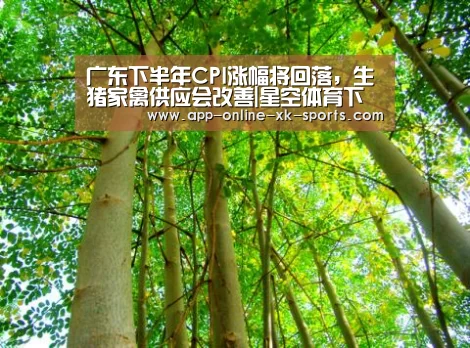 星空体育手机版