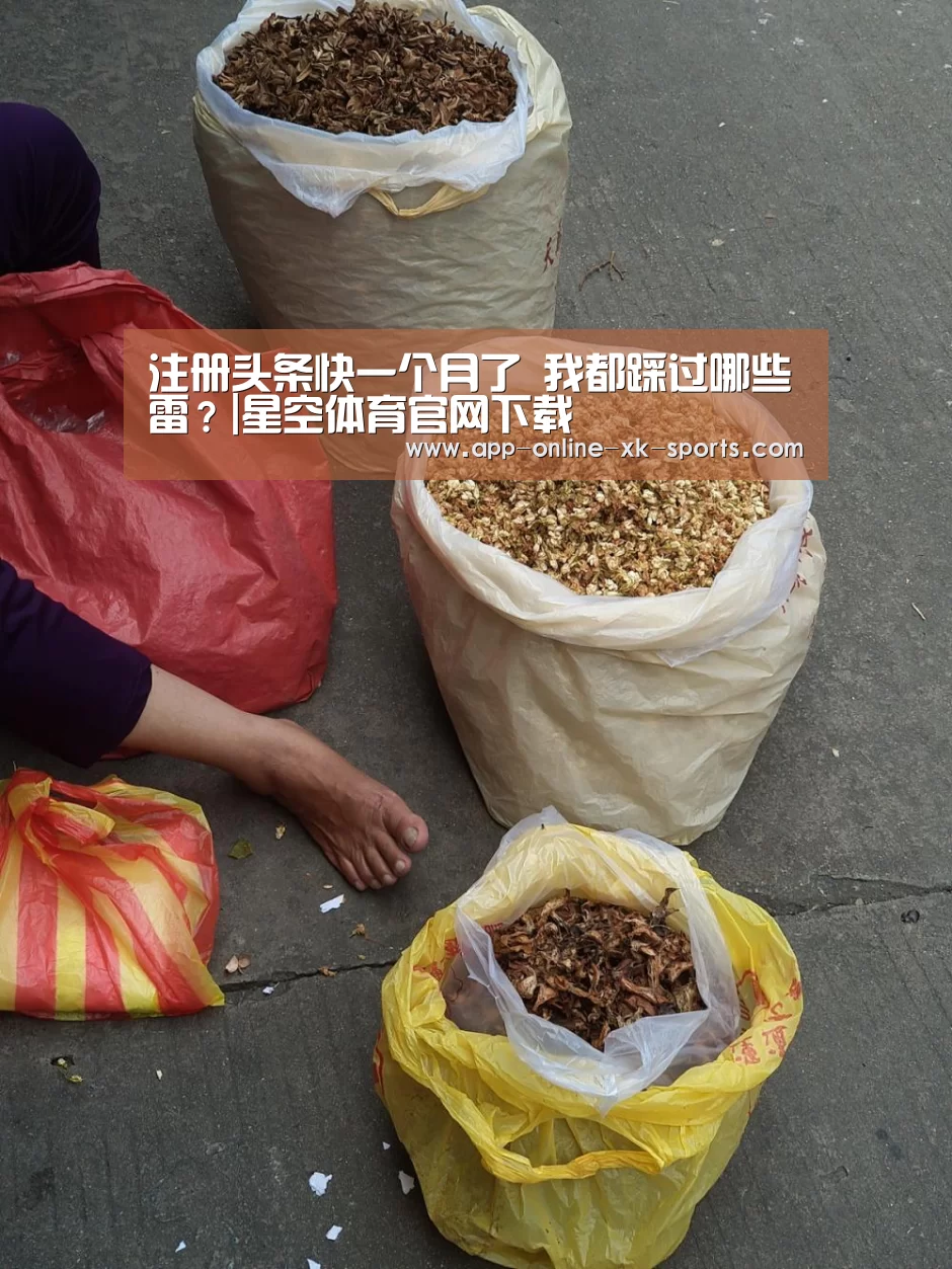 星空体育官网下载