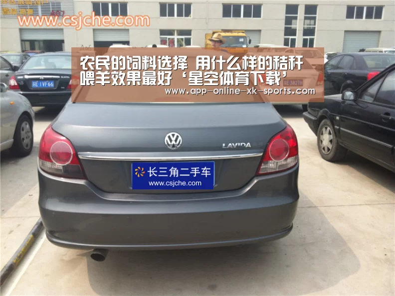 农民的饲料选择 用什么样的秸秆喂羊效果最好‘星空体育下载’(图3) 星空体育手机版