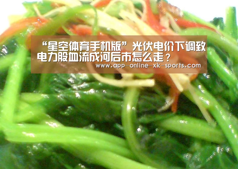 “星空体育手机版”光伏电价下调致电力股血流成河后市怎么走?(图2) 星空体育官网下载