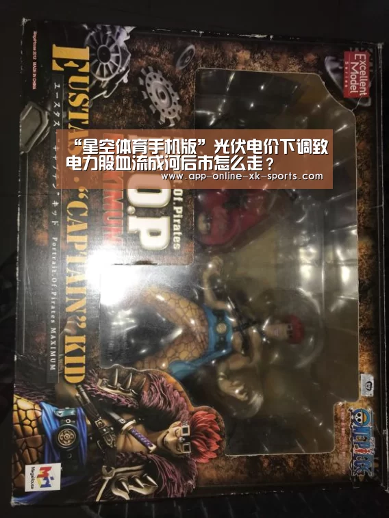 “星空体育手机版”光伏电价下调致电力股血流成河后市怎么走?(图3) 星空体育下载