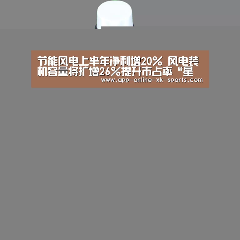 节能风电上半年净利增20% 风电装机容量将扩增26%提升市占率“星空体育平台”(图1) 星空体育平台