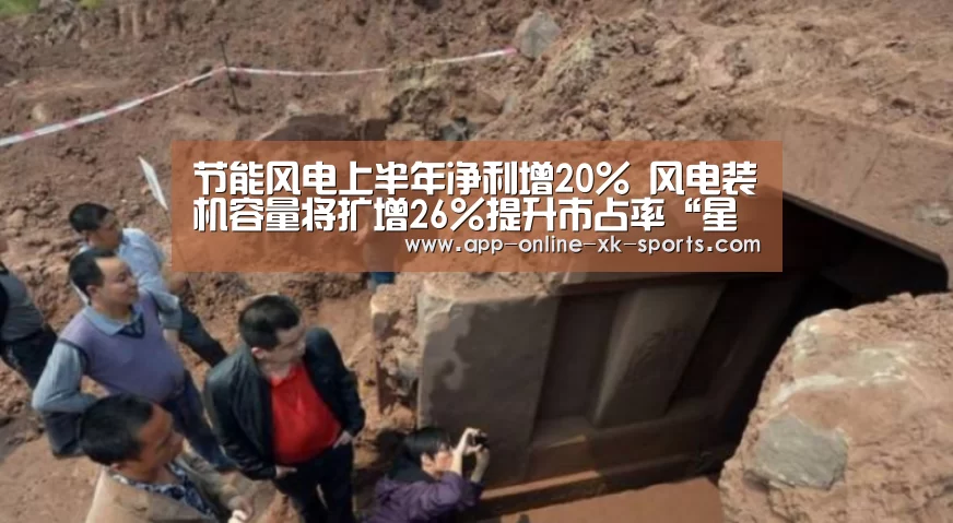 节能风电上半年净利增20% 风电装机容量将扩增26%提升市占率“星空体育平台”(图2) 星空体育平台